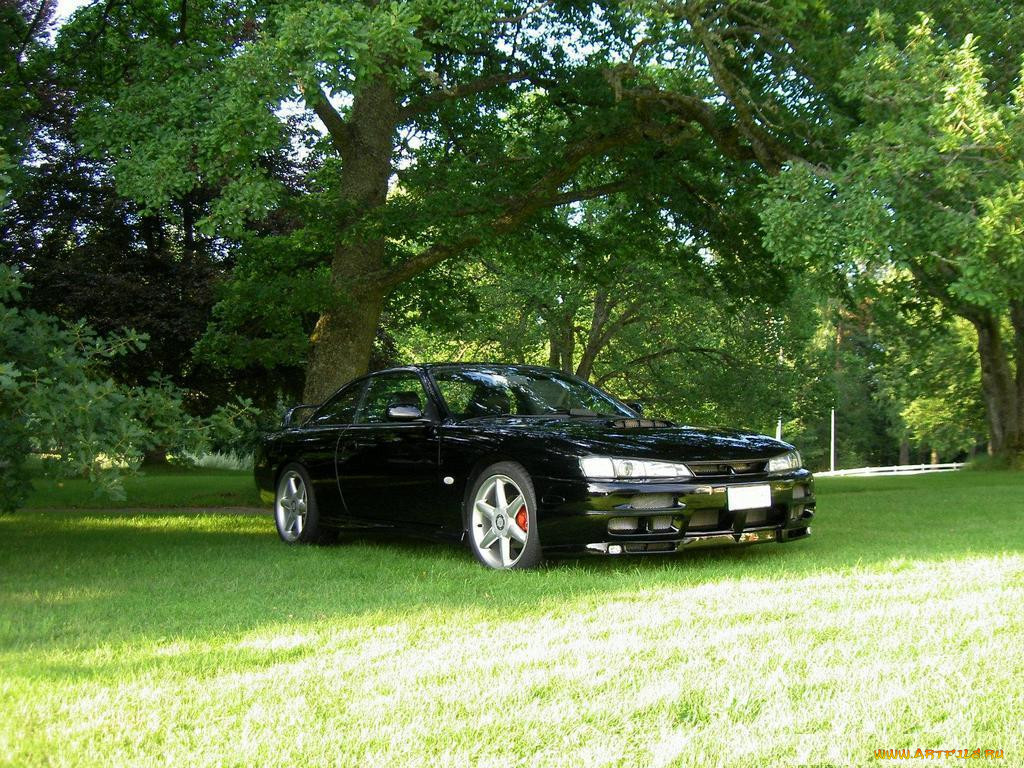 nissan, 240sx, s14a, 1998, , datsun